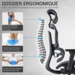 Dossier ergonomique en maille du fauteuil Draco avec soutien lombaire