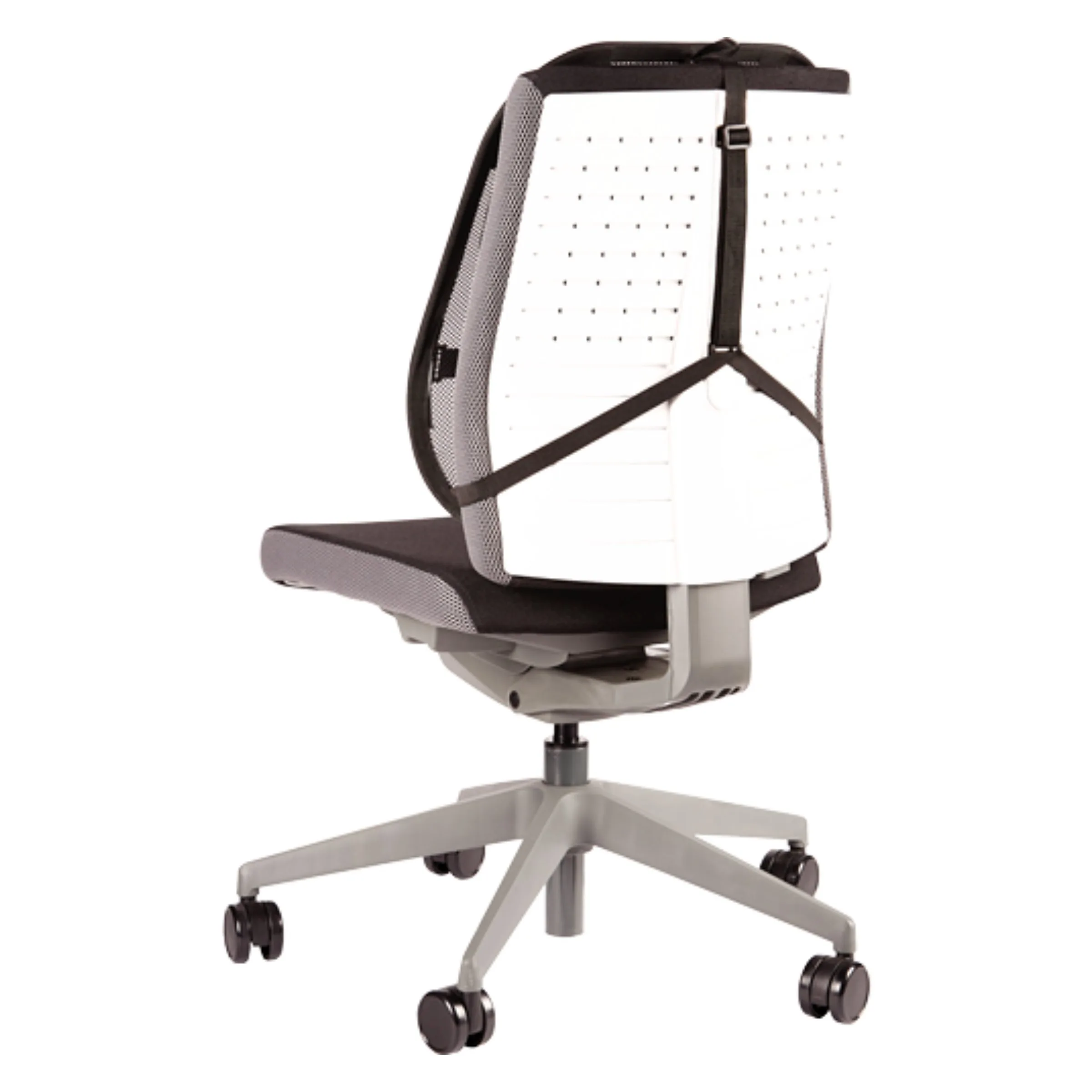 support-dorsal-2