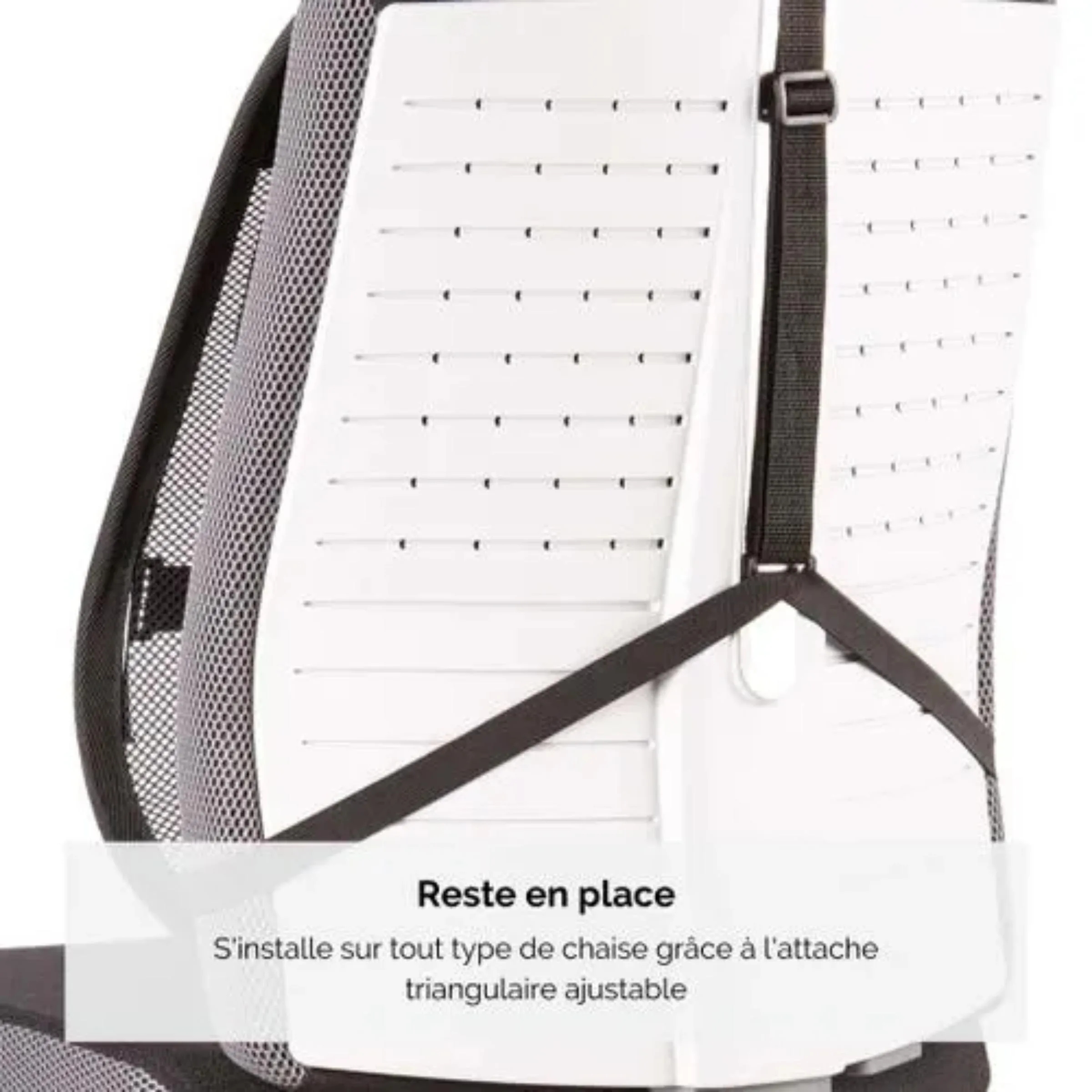 support-dorsal-3