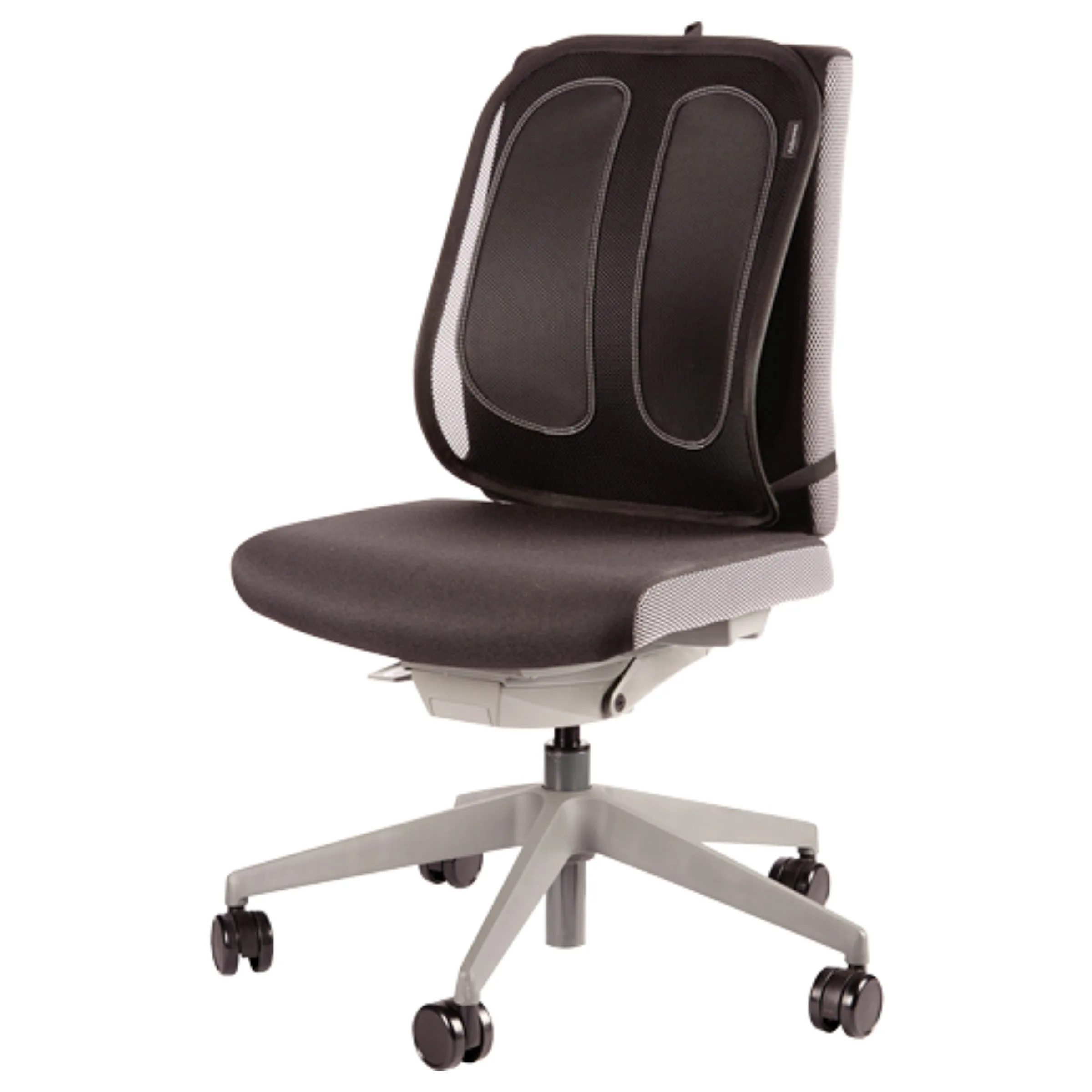 support-dorsal-4