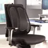 support-dorsal-7