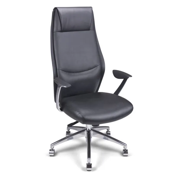 Fauteuil de Direction Cuir TERY