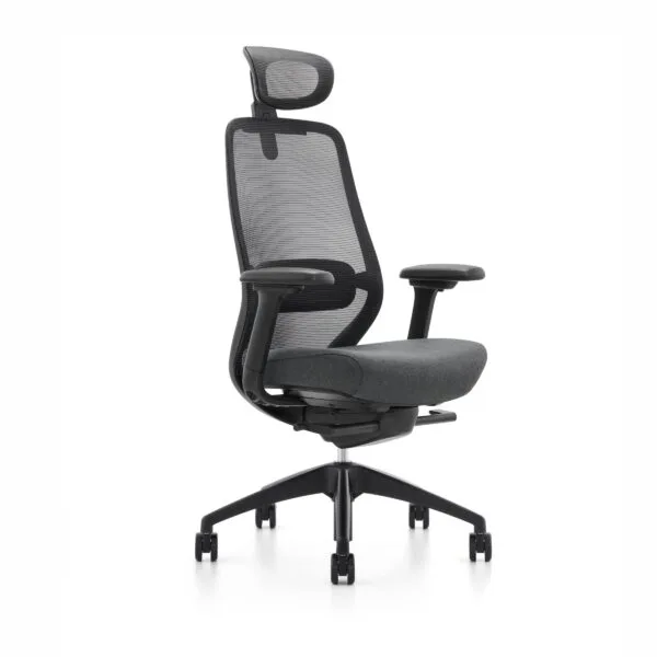 Fauteuil ergonomique 600RS