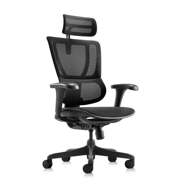 Chaise de bureau ergonomique iOO - Noir