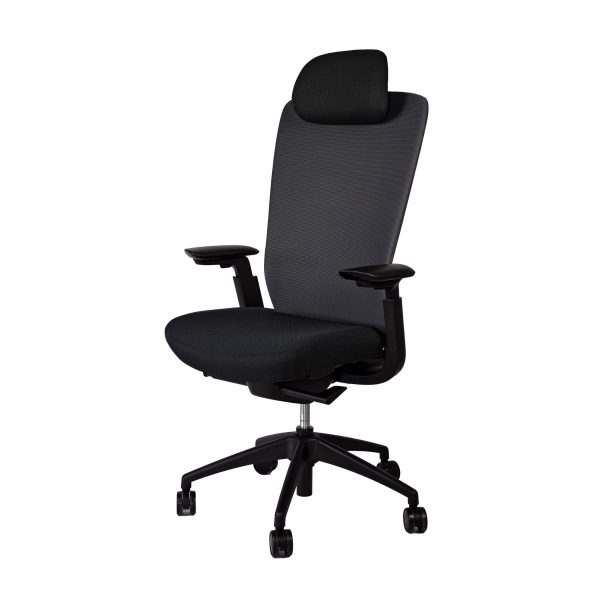 Fauteuil de bureau ergonomique Ramses - Noir | MTi